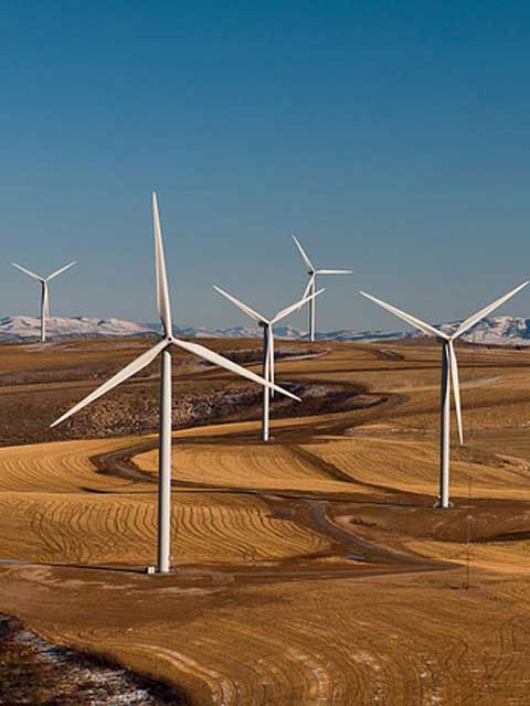 24小时轰炸对方的电话软件